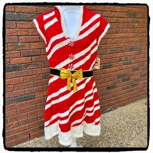NWT Holiday Sweater Dress